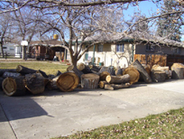Tree Removal